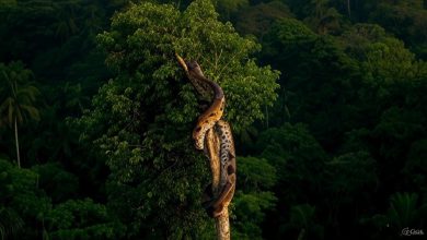 the-ideal-length-of-time-to-hold-a-mortgage-until-paying-it-off